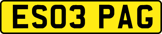 ES03PAG