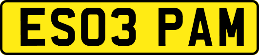 ES03PAM