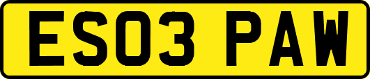 ES03PAW