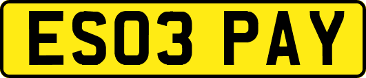 ES03PAY