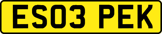 ES03PEK