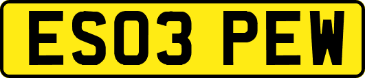 ES03PEW
