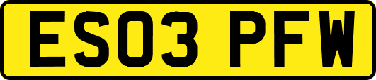 ES03PFW