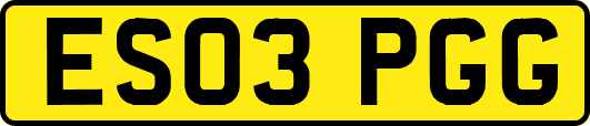 ES03PGG