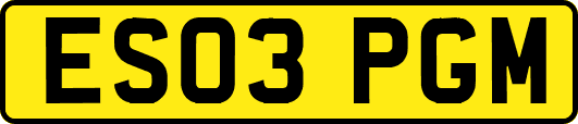 ES03PGM