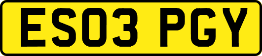 ES03PGY