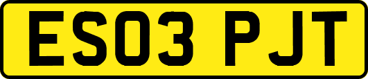 ES03PJT