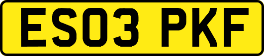 ES03PKF
