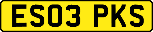 ES03PKS