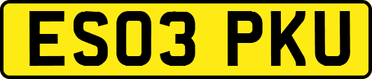 ES03PKU