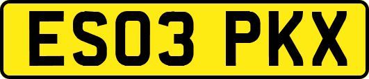 ES03PKX