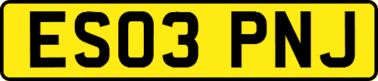 ES03PNJ