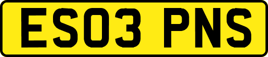 ES03PNS
