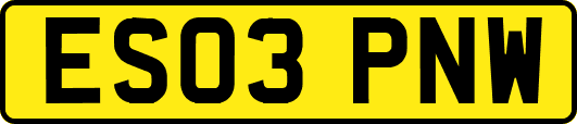 ES03PNW