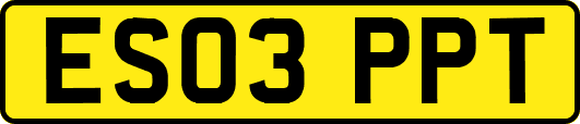 ES03PPT