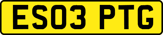 ES03PTG