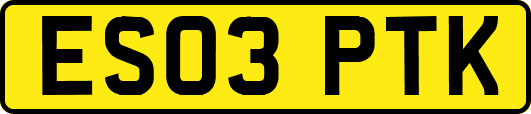 ES03PTK