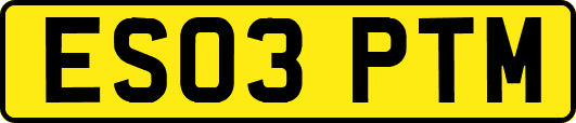 ES03PTM