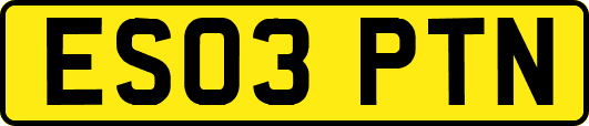 ES03PTN