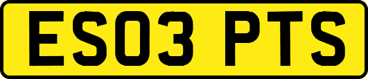 ES03PTS