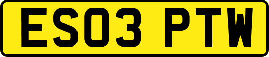 ES03PTW