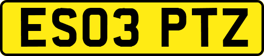 ES03PTZ