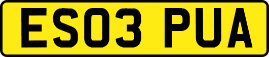 ES03PUA