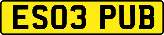 ES03PUB