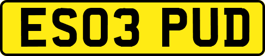 ES03PUD