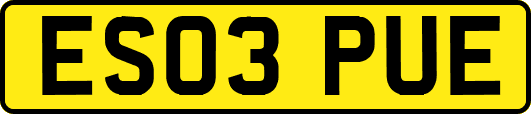 ES03PUE