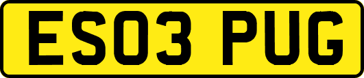 ES03PUG