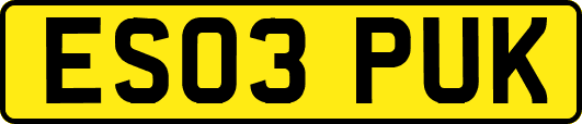 ES03PUK