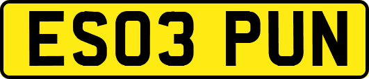 ES03PUN