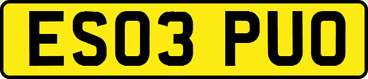 ES03PUO