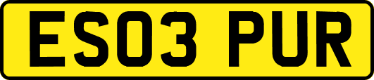 ES03PUR