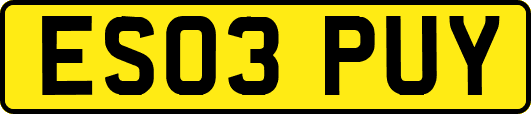 ES03PUY