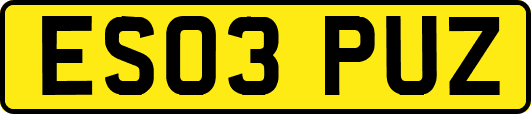 ES03PUZ