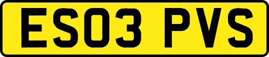 ES03PVS