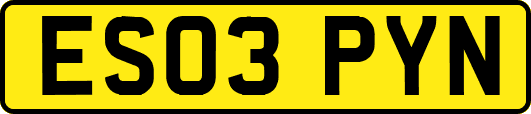ES03PYN