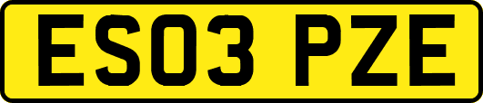 ES03PZE