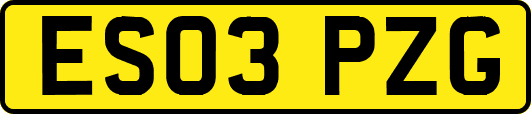 ES03PZG