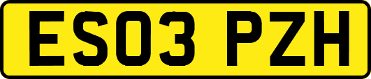 ES03PZH