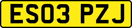 ES03PZJ