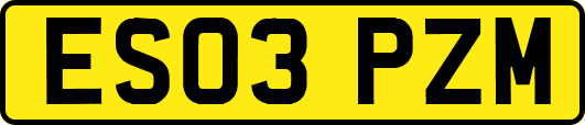 ES03PZM