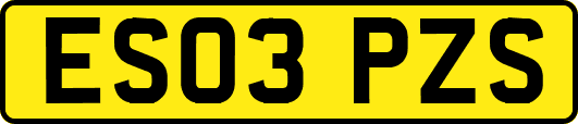 ES03PZS