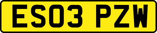 ES03PZW