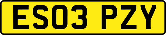 ES03PZY