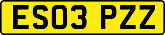 ES03PZZ