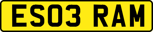 ES03RAM
