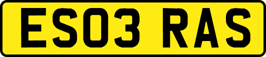 ES03RAS